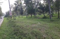 Coconut Land At Ekala - Kotadeniyawa Rd