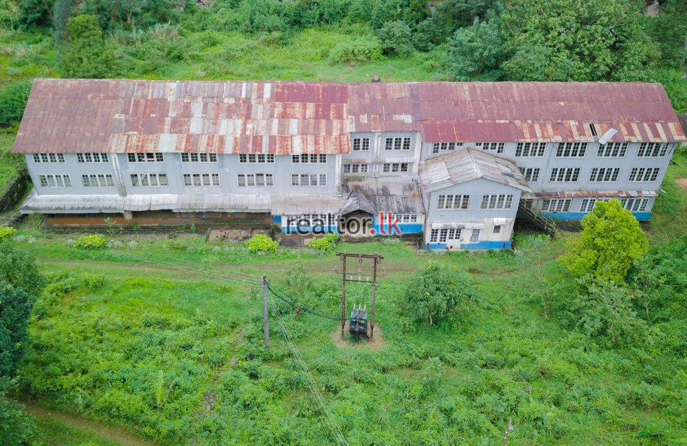 Tea Estate With Factory At Maskeliya For Sale