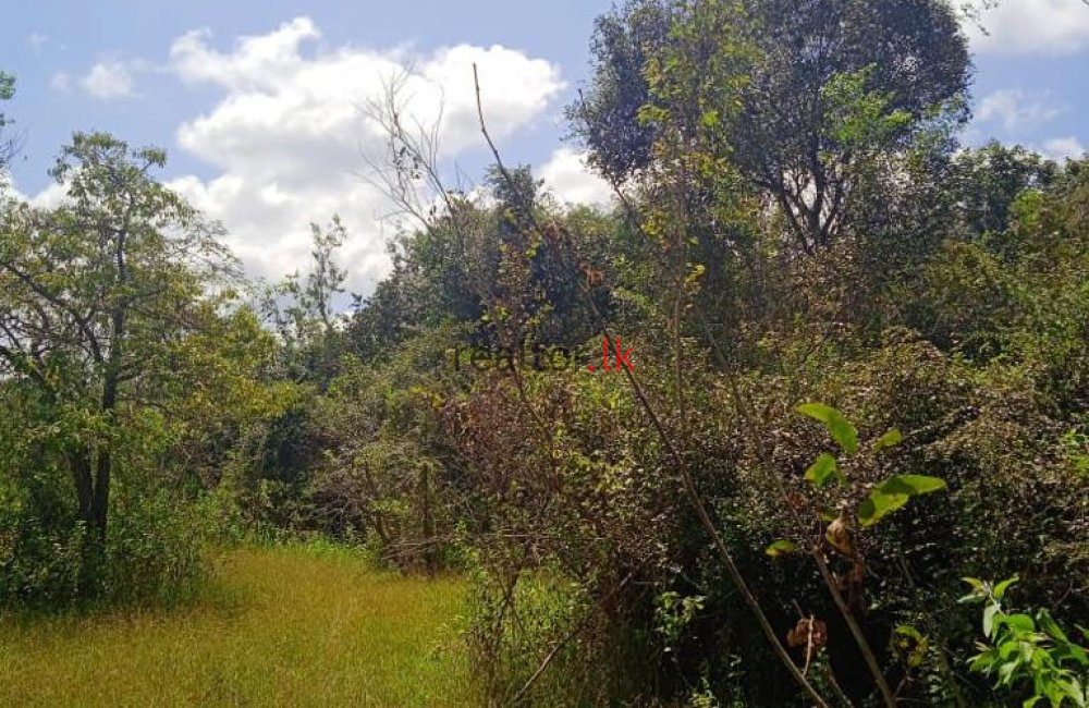 Horawpatana Land For Sale