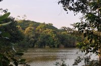 Riverfront Land For Sale In Haldola Ratnapura