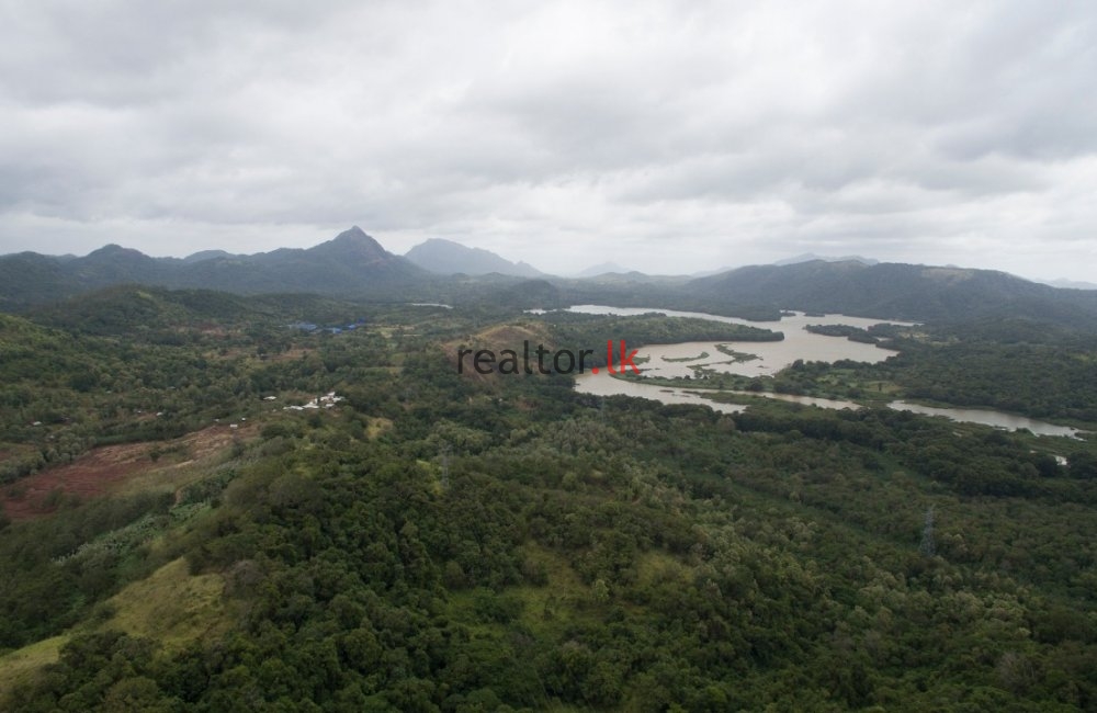 Madawala Ulpotha Estate For Sale