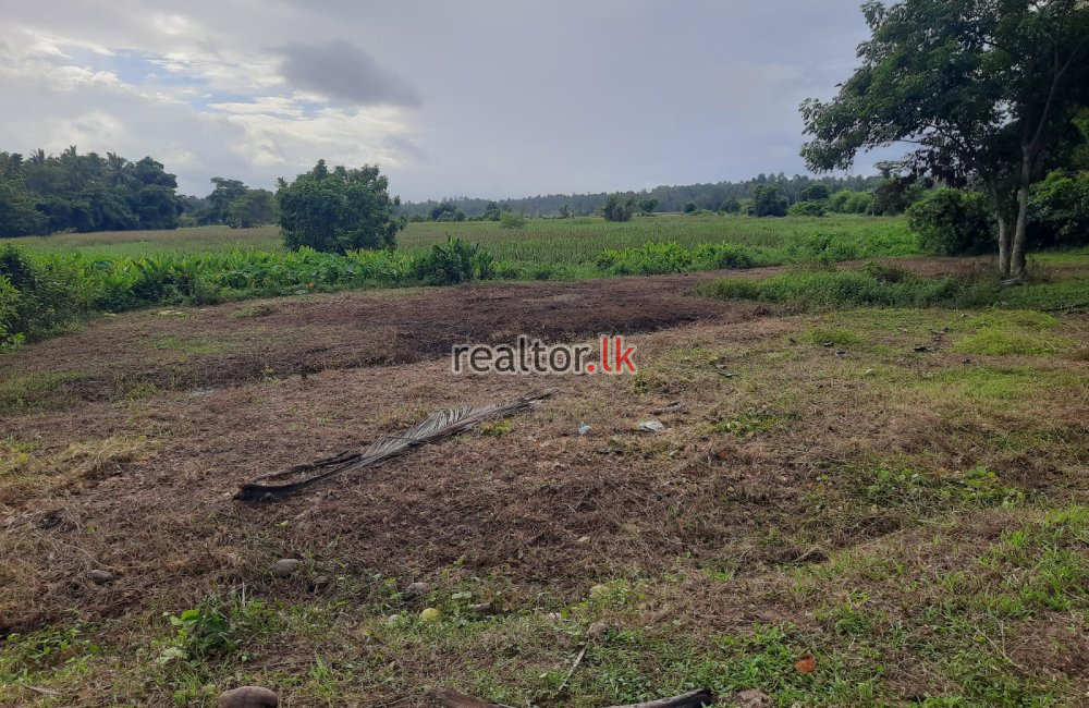 Land For Sale At Katunayake Rd Peellawatta