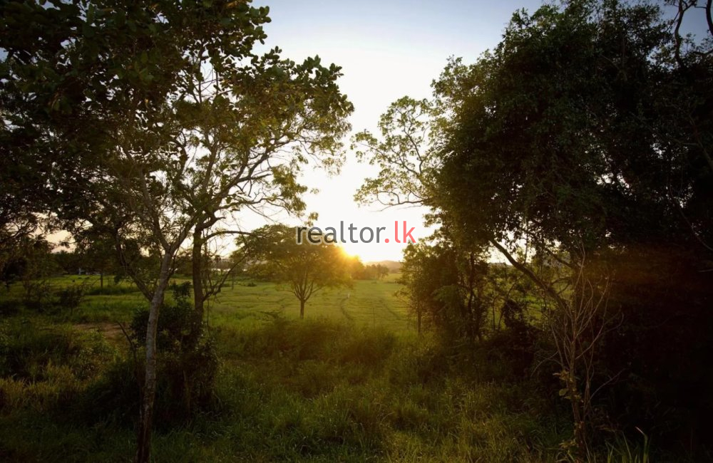 Scenery Hotel For Sale In Inamaluwagama Dambulla
