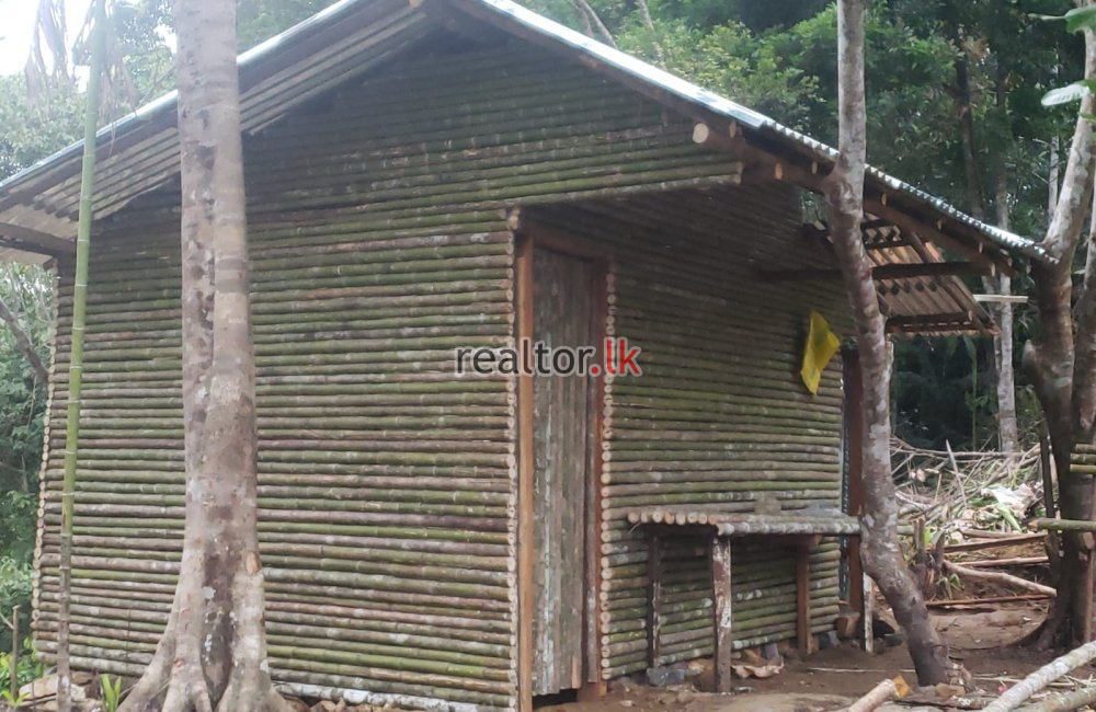 Half Cultivated Estate For Sale At Ingiriya