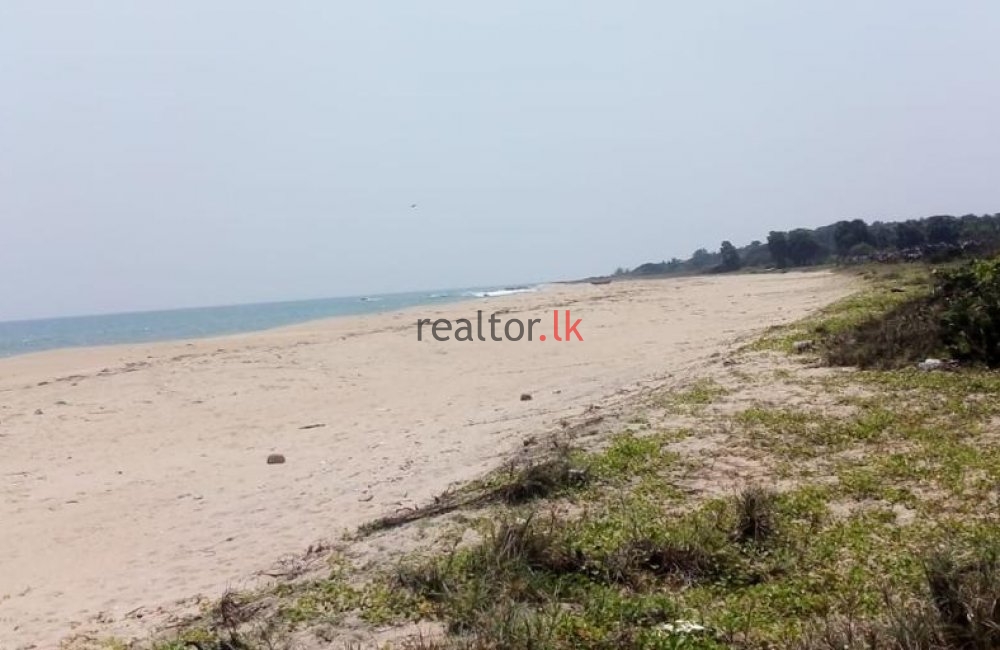 Arugam Bay Land For Sale