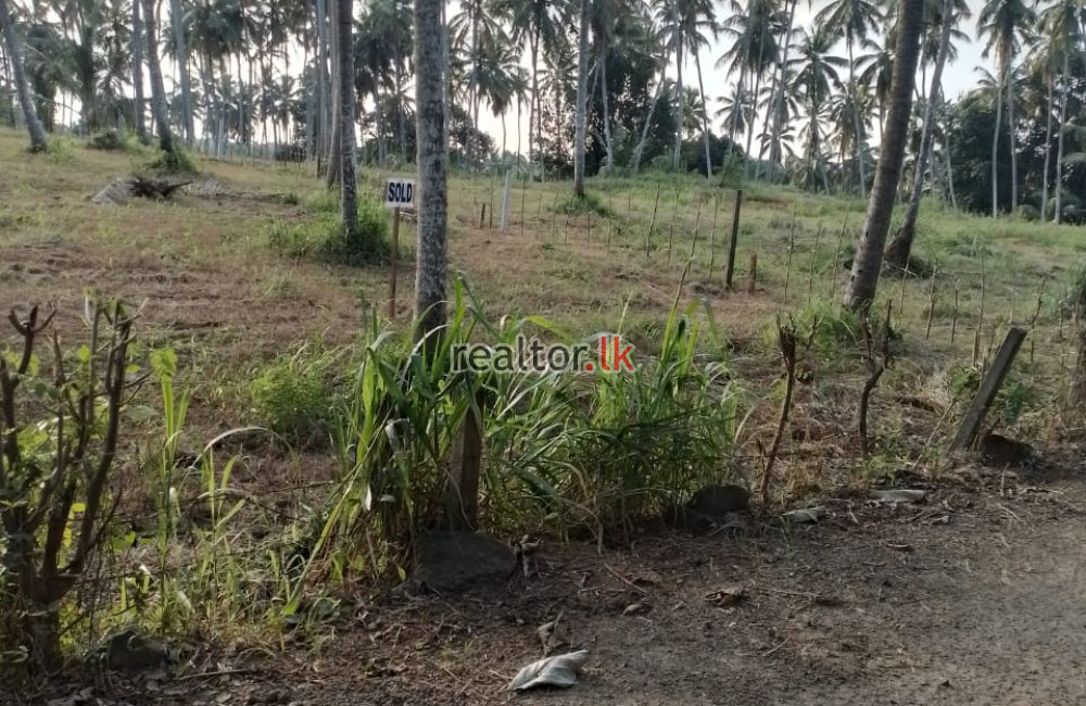 Industrial Land For Sale At Weliweriya Gampaha