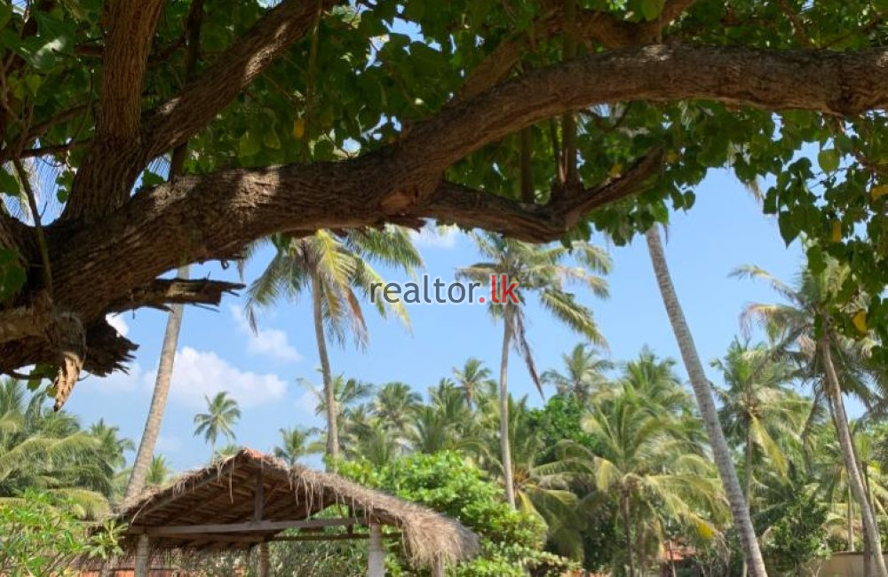 Land For Sale At Galle Rd Dodanduwa