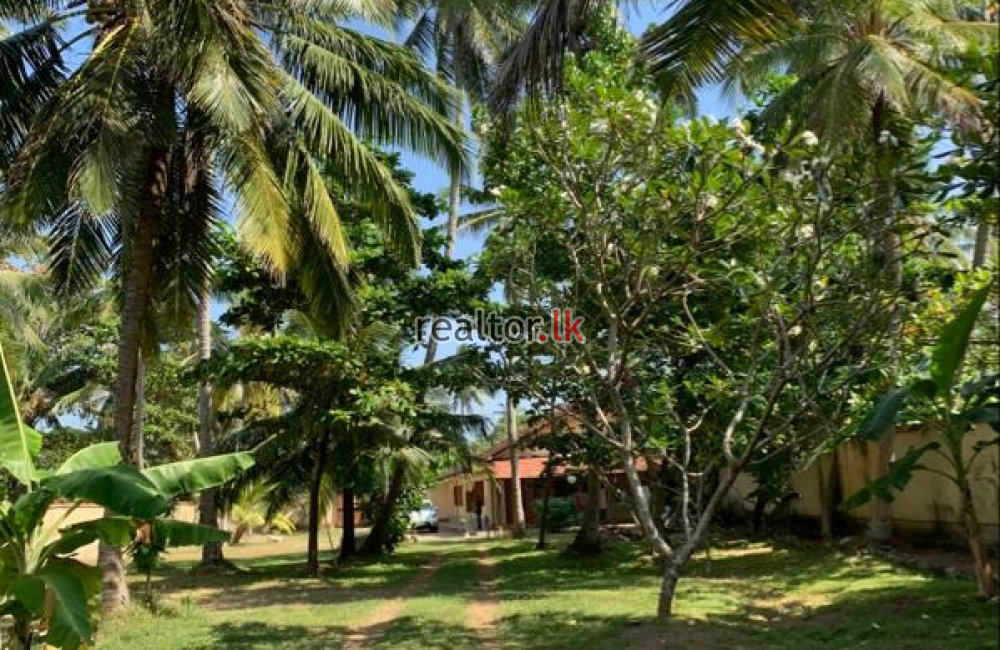 Land For Sale At Galle Rd Dodanduwa