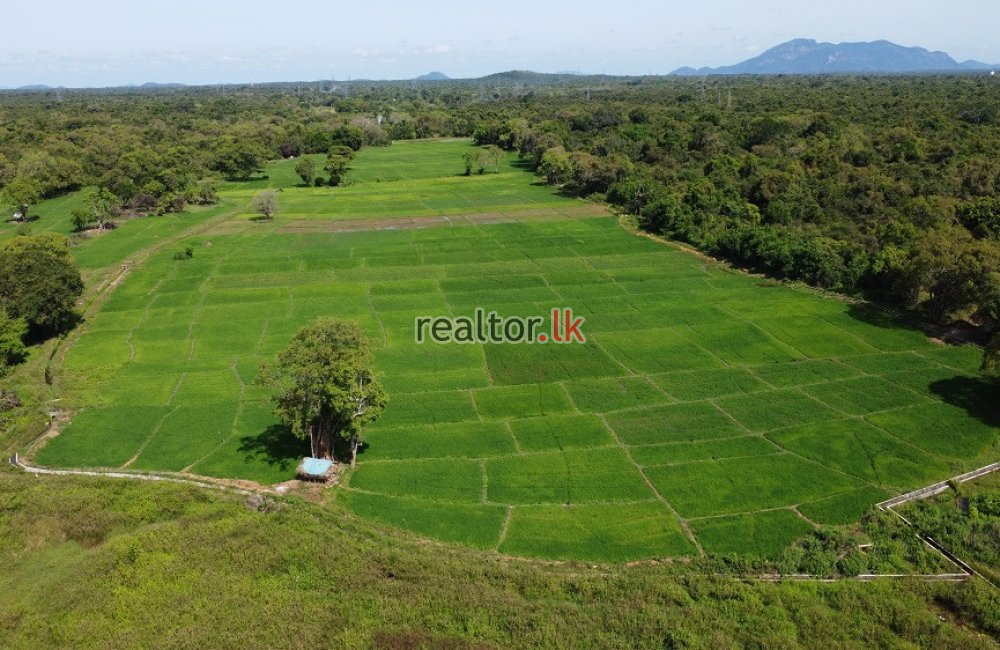 Lakefront Land For Sale At Sigiriya