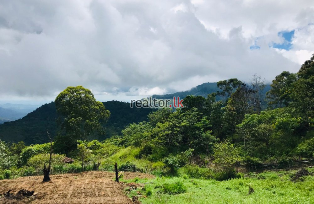 Land For Sale In Ella