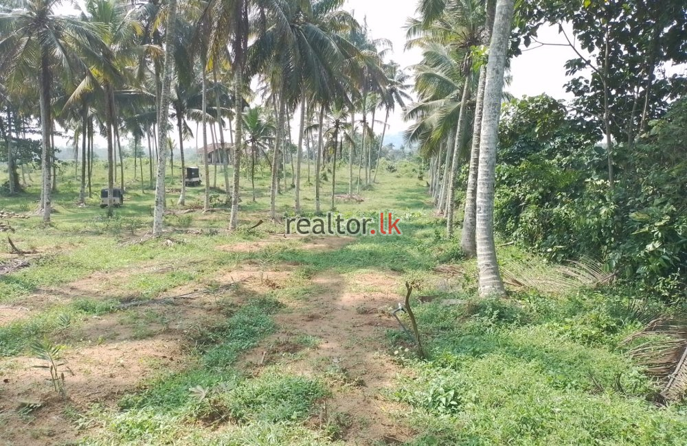 Facing Malagala Main Rd Land For Sale In Padukka