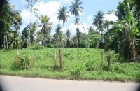 Land For Lease Gampaha Kalagedihena