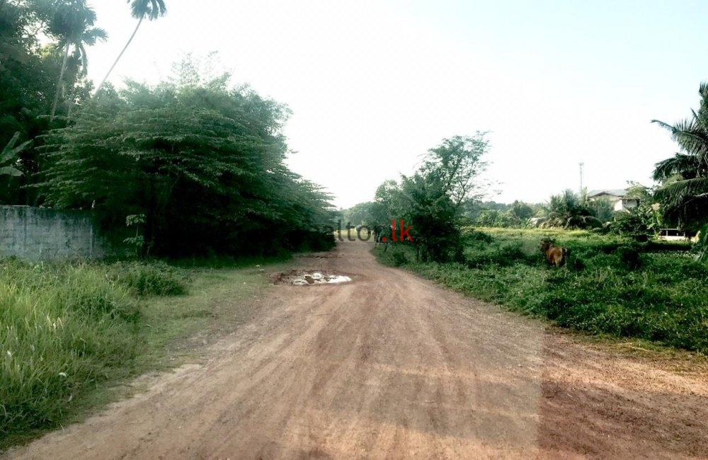 Land At Hunupitiya Road
