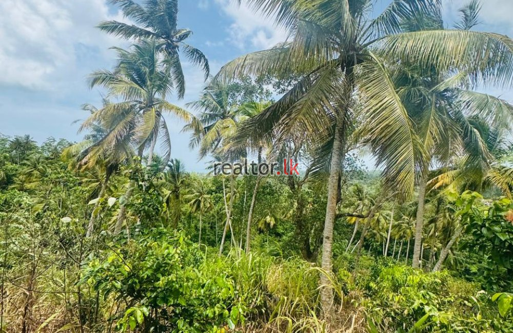 Prime Land For Sale At Weligama