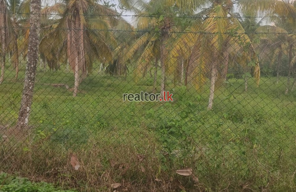 Land For Sale In Walgama Malwana