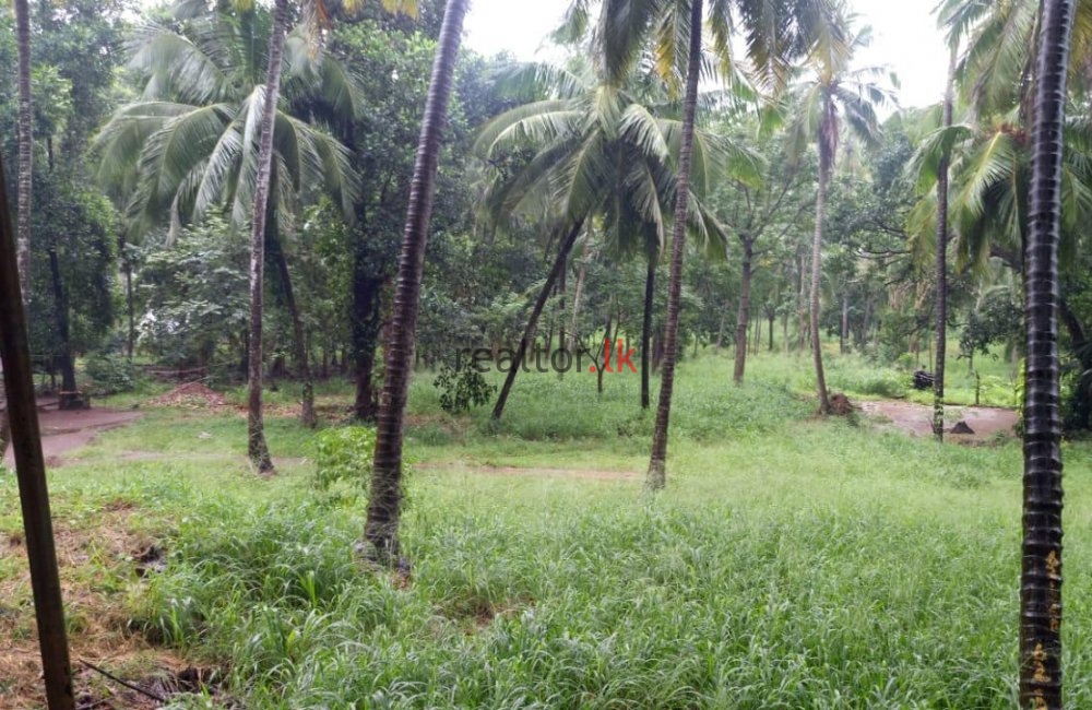 Land At Kurunegala main road Facing