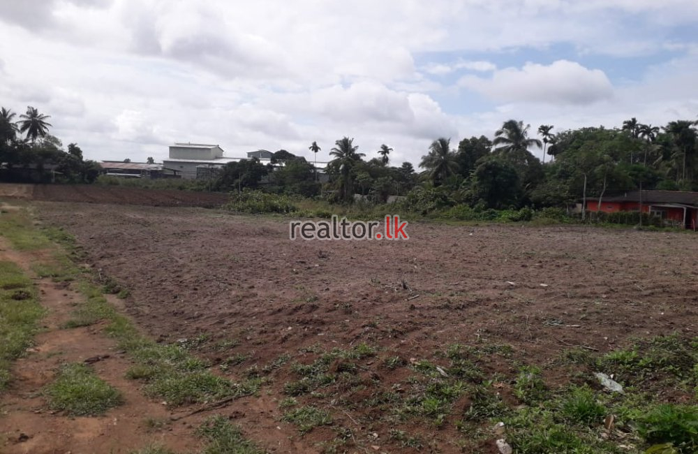 Milleniya Rd Land For Sale