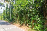 Commercial Land For Rent At Wadduwa