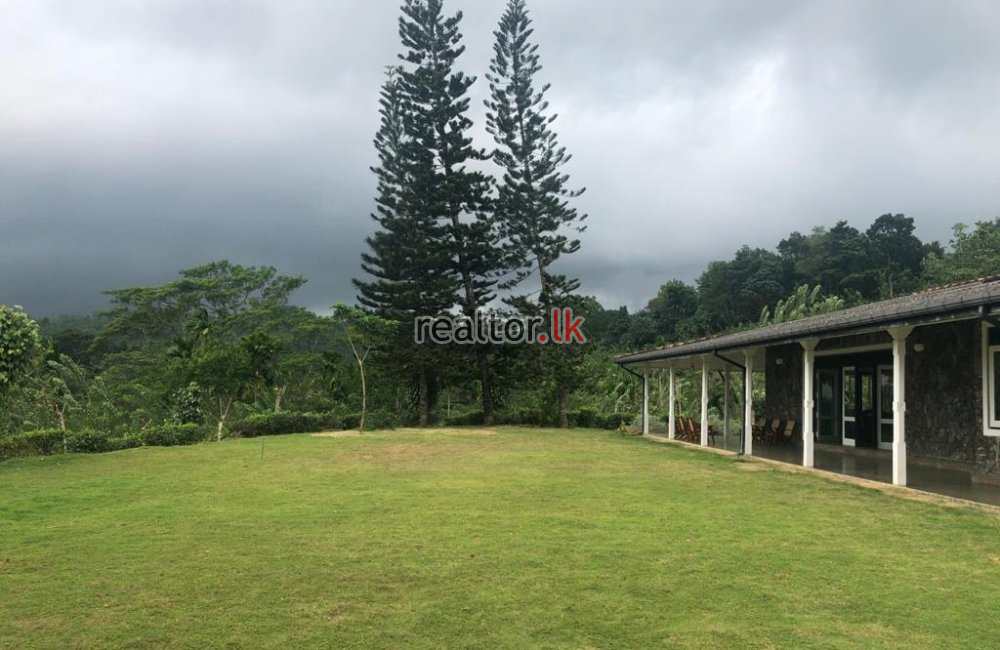 Tea Estate With A Bungalow In Avissawella