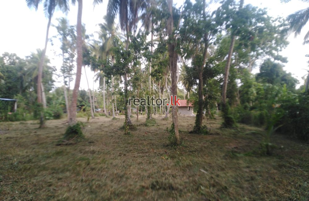 Marawila Coconut Land For Sale