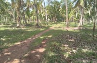 Land For Sale In Alawwa Kurunegala