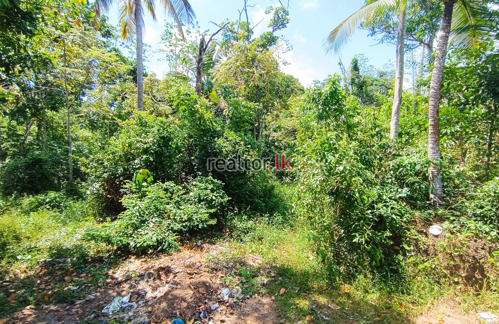 Facing Molligoda Rd Wadduwa Land For Rent