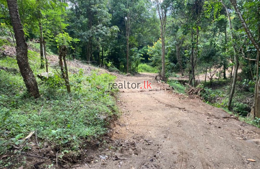 Waterfront Land For Sale In Digana Kandy