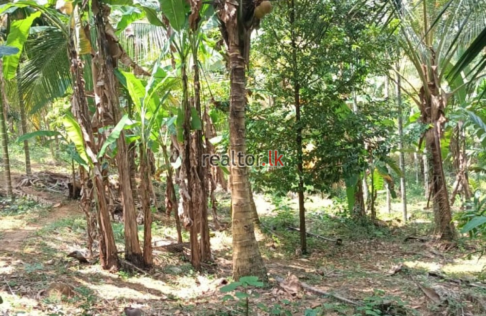 පොතුහැර අක්කර 2ක් ඉක්මනින්   විකිණීමට