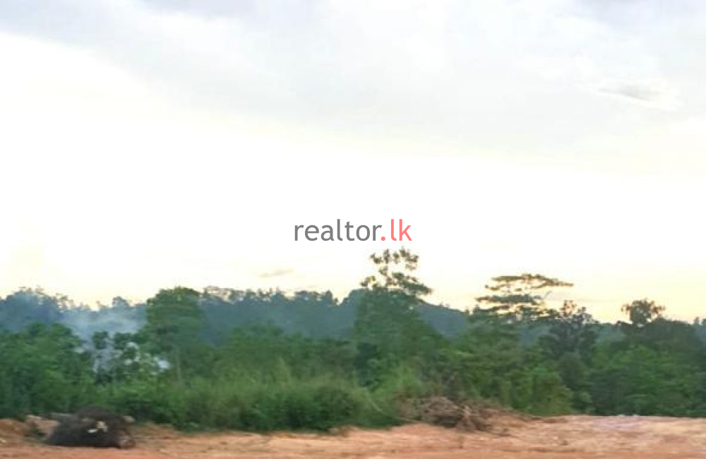 Facing Main Road Land For Sale At Thalgampala