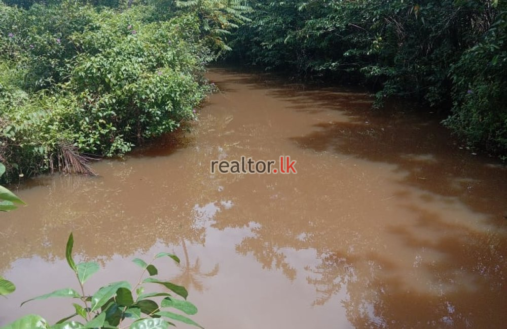 Scenic Land For Sale At Ahangama
