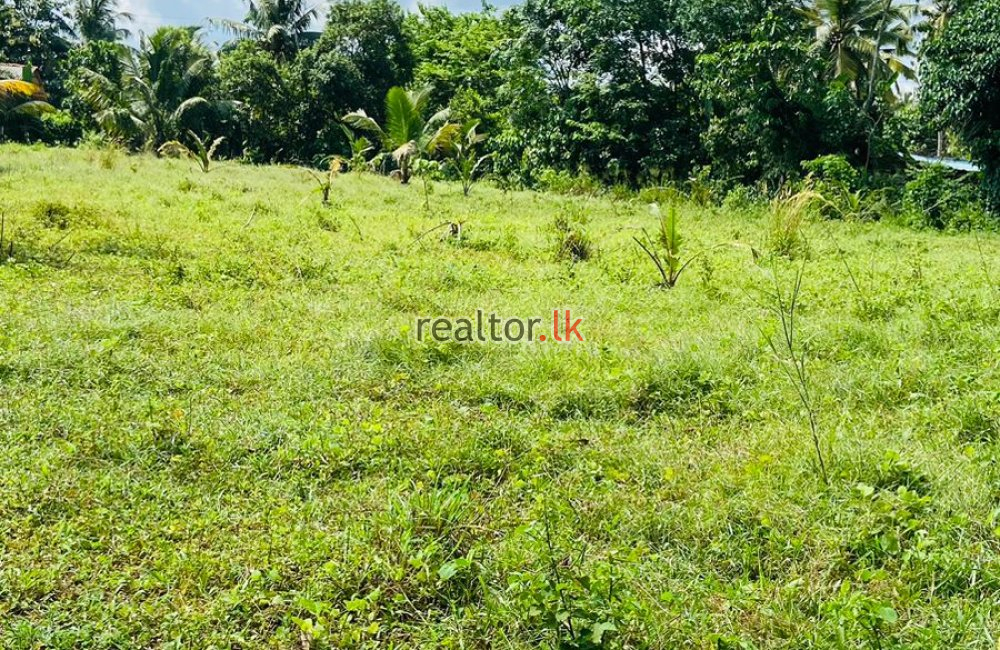 Land For Sale At Ranala