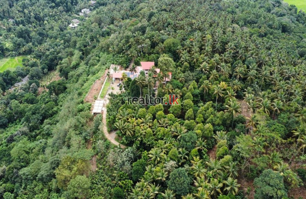 Mixed Estate Cultivation For Sale In Matale