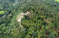 Mixed Estate Cultivation For Sale In Matale