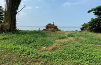 Facing Colombo Rd Land For Sale At Katunayake