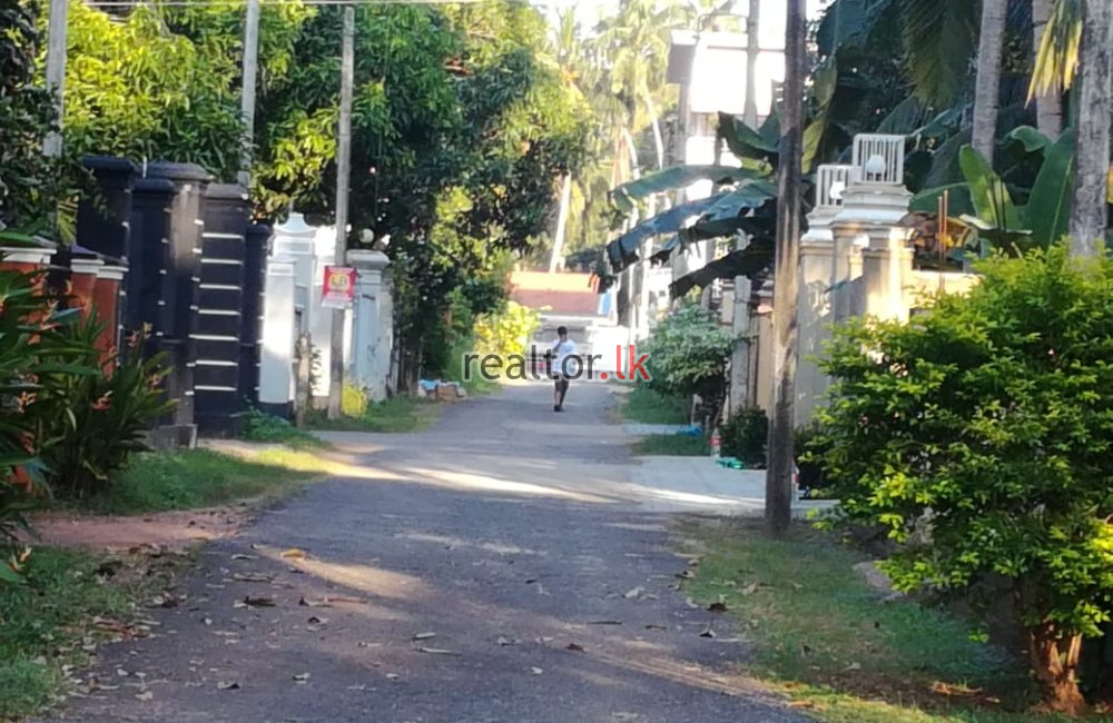 23 Acres Beach Front Land For Sale In Marawila