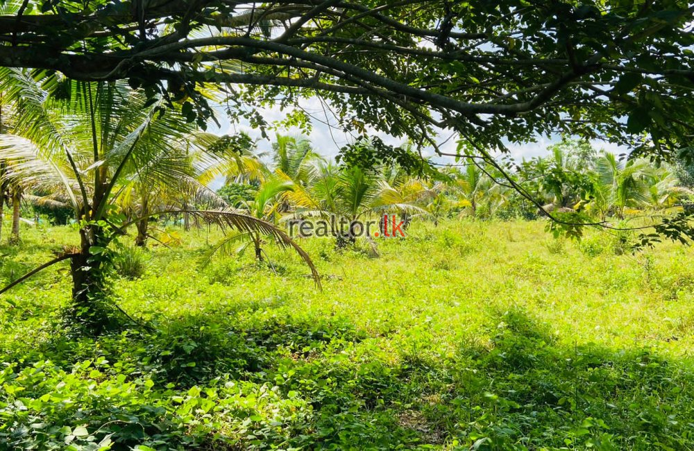 Land For Sale At Ranala