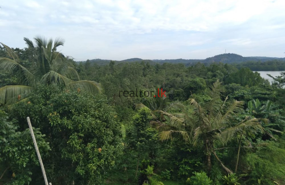 Bodering Koggala Lake Land For Sale