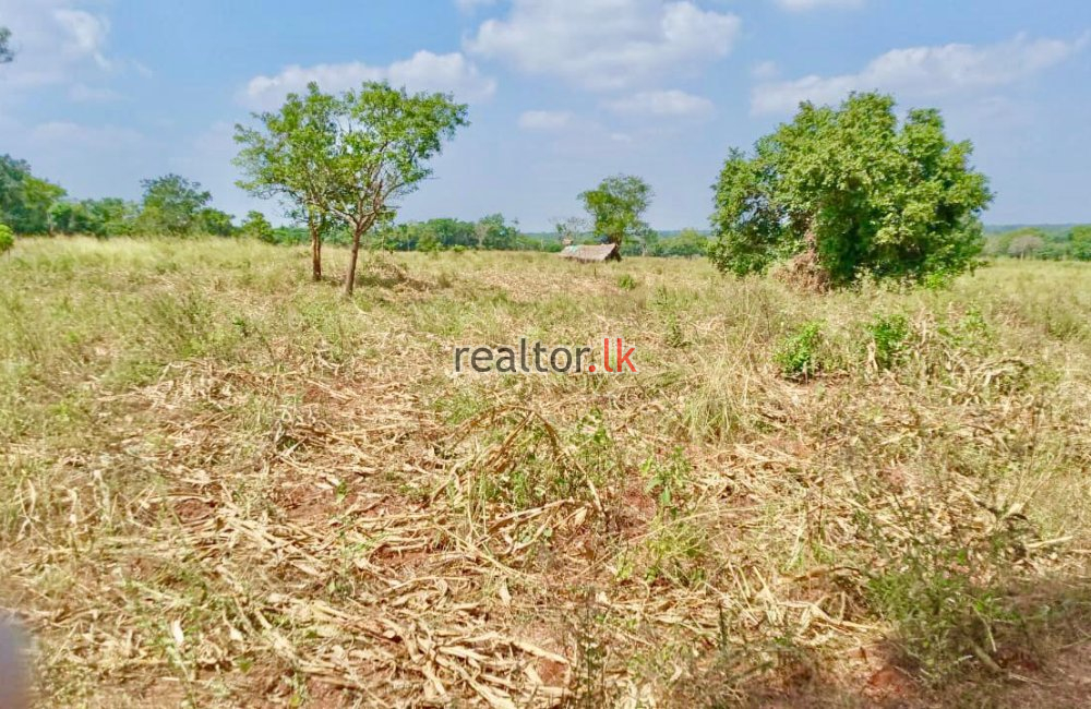 Land For Sale At Anuradhapura