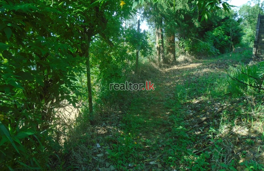 Land For Sale In Diyanilla Ragala