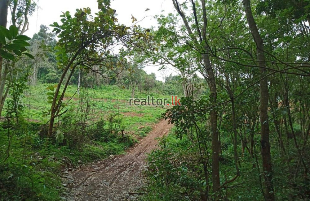 Mahogany Estate For Sale At Matale