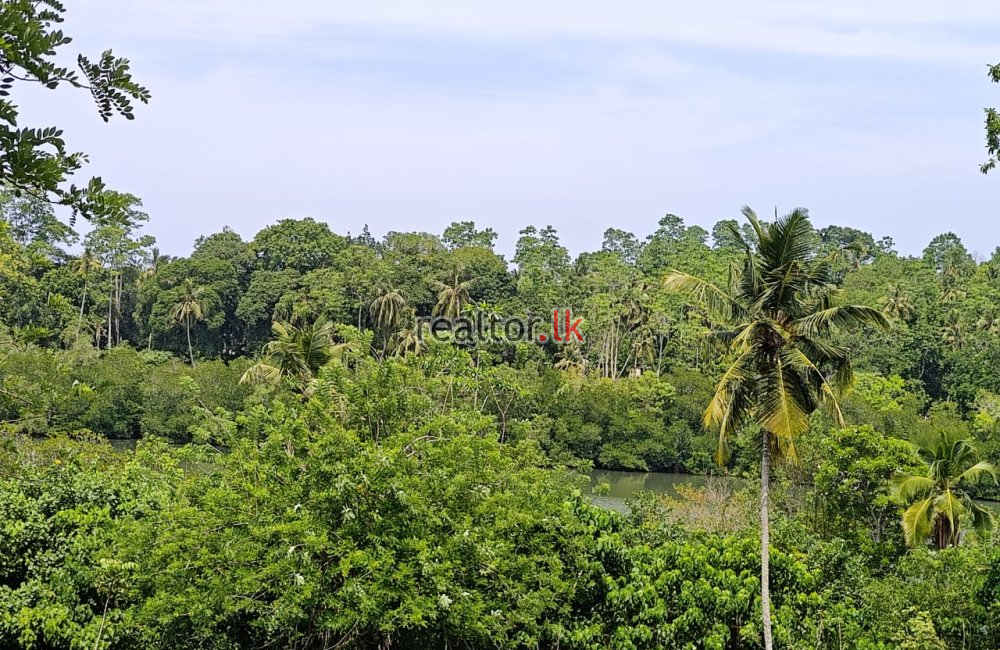 Lake Front Land For Sale At Koggala