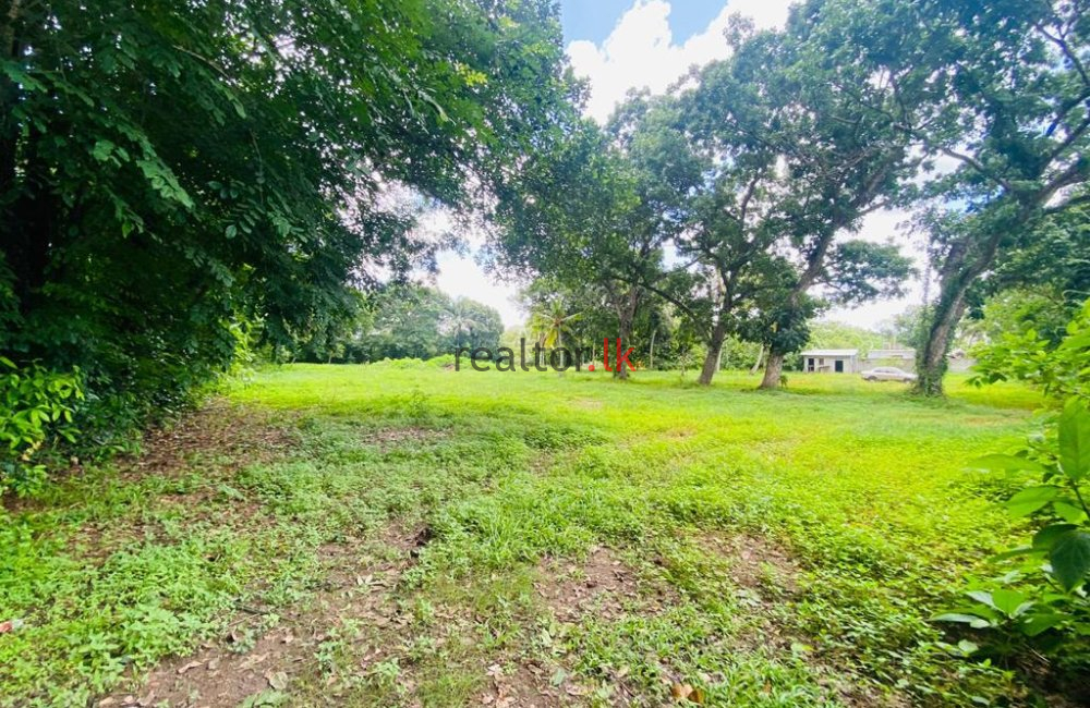 Maovita Road Land For Sale