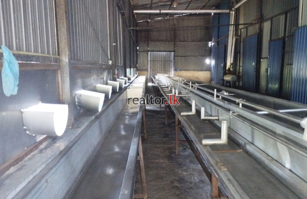 Virgin Oil Factory For Sale At Dummalasuriya