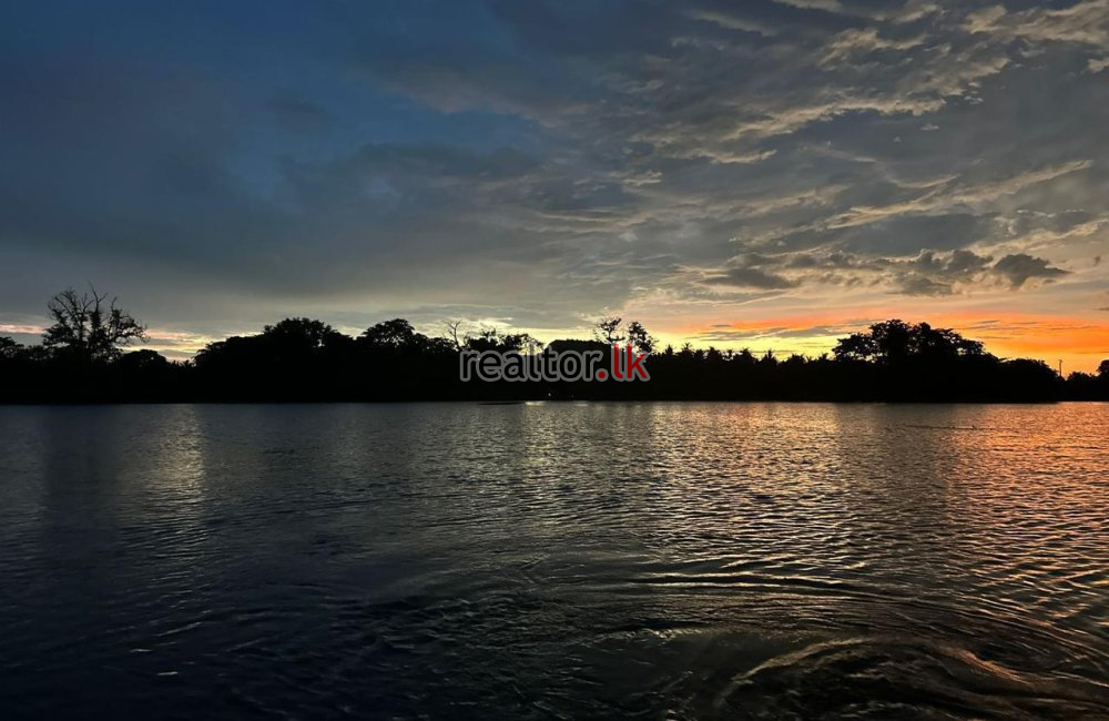 Lake Front Luxury Villa For Sale Habarana Forrest