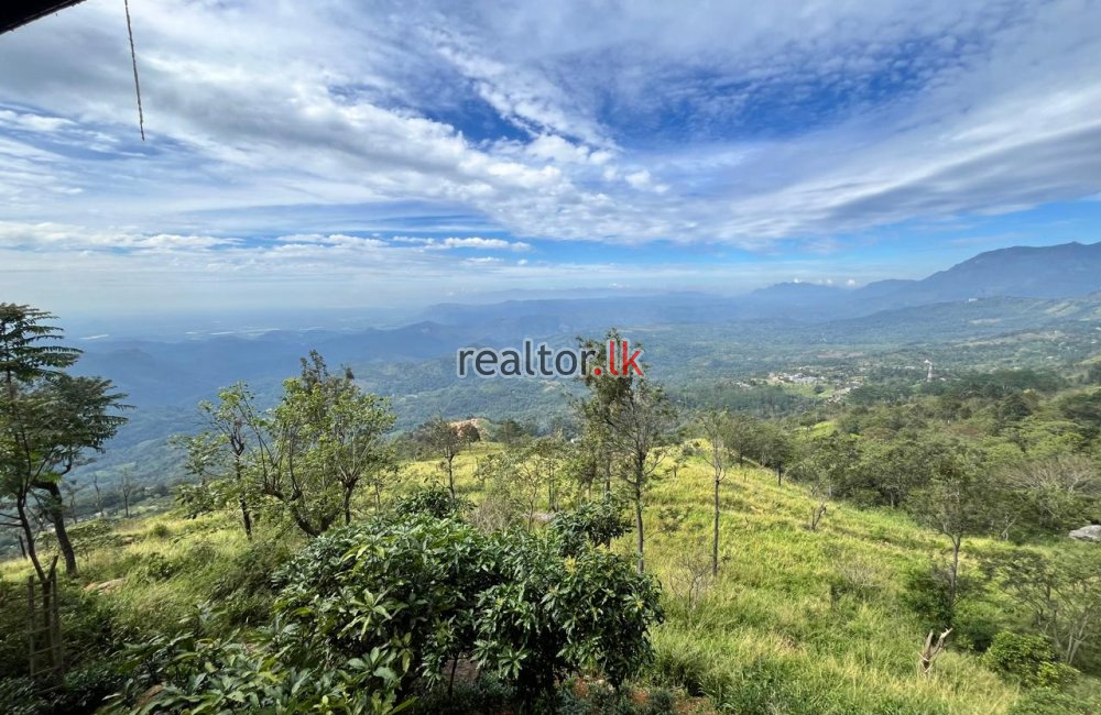 Mountain View Land For Sale At Beragala Haputale