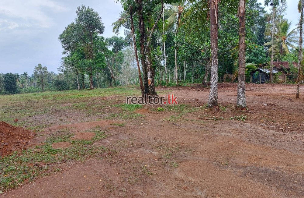 Land For Sale In Batagoda Horana