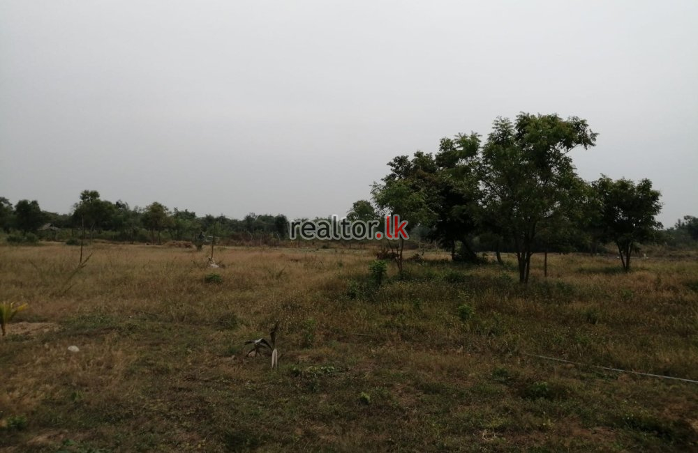 Beachfront Land For Sale At Whisky Point Pottuvil