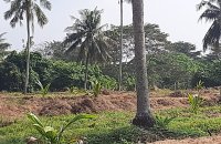 Facing Maha Oya Coconut Estate For Sale