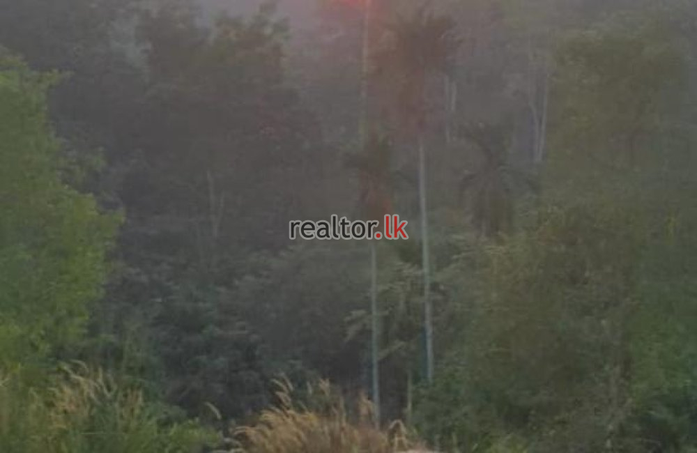 Facing Main Road Land For Sale At Thalgampala