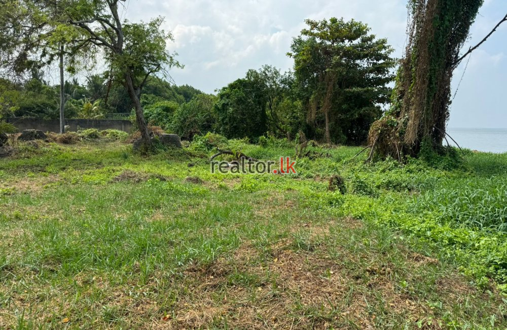 Facing Negombo Rd Land For Sale At Katunayake